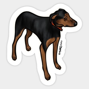 Luna — Dogs of Marble, Colorado Sticker